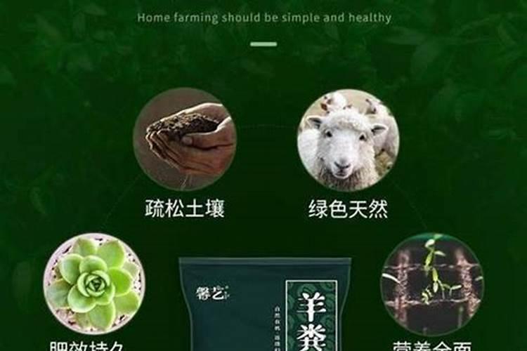 小麦土传病害的防治方法？小麦冲施肥用什么肥能生根防病？小麦高产管理技 ...