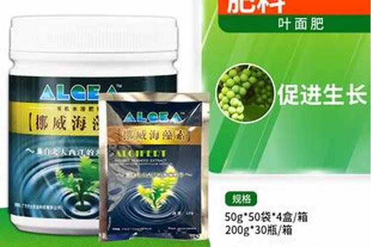 寿光指南针公司靠谱吗