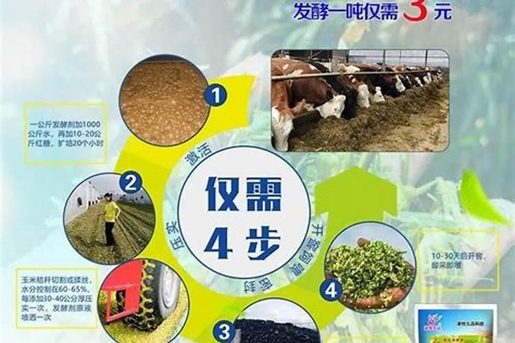 苜蓿草用什么化肥好