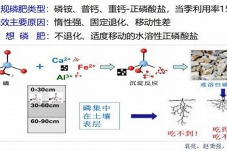 草莓膨果期用什么肥料好？
