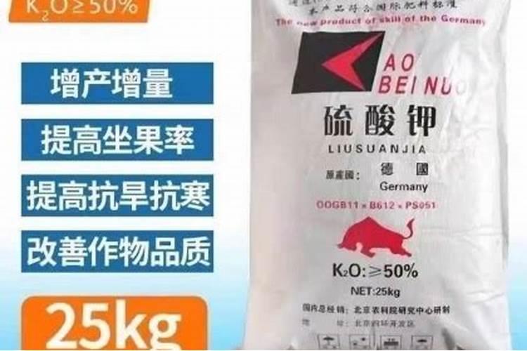 我家有一只女英系哈多丽狗,怎样养她呢？