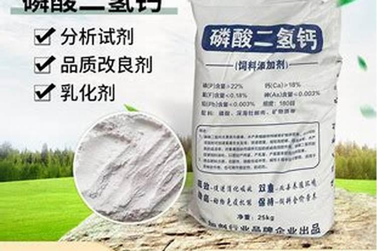 在家里通常吃哪种鱼味道最为鲜美？