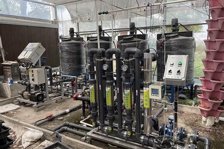 种植春季蔬菜,对水肥的要求都有哪些？怎样科学施肥？