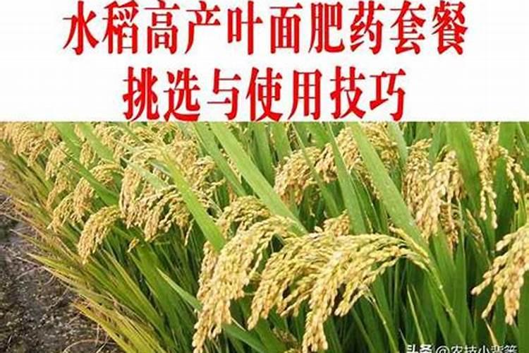 氯化胆碱一季最多用几次