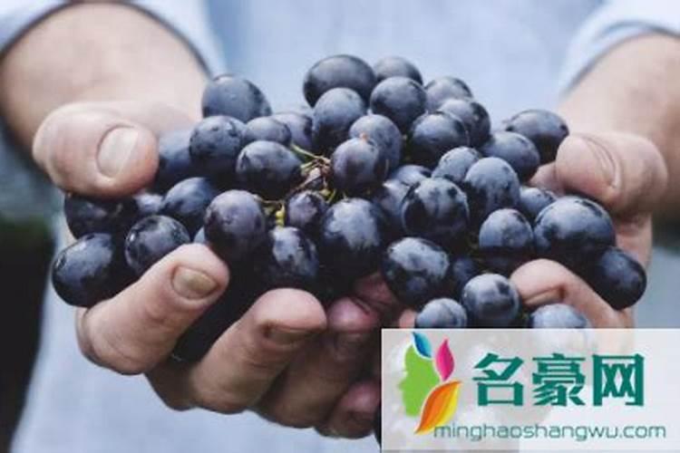 发酵水果皮属于氮肥吗