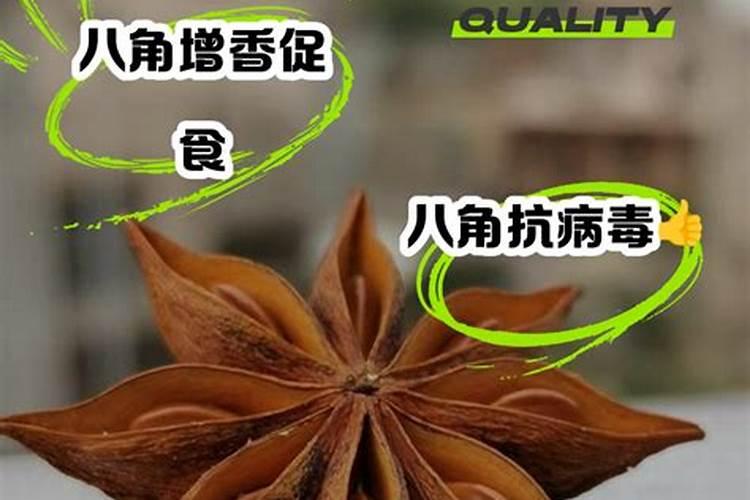 八角施什么肥最好