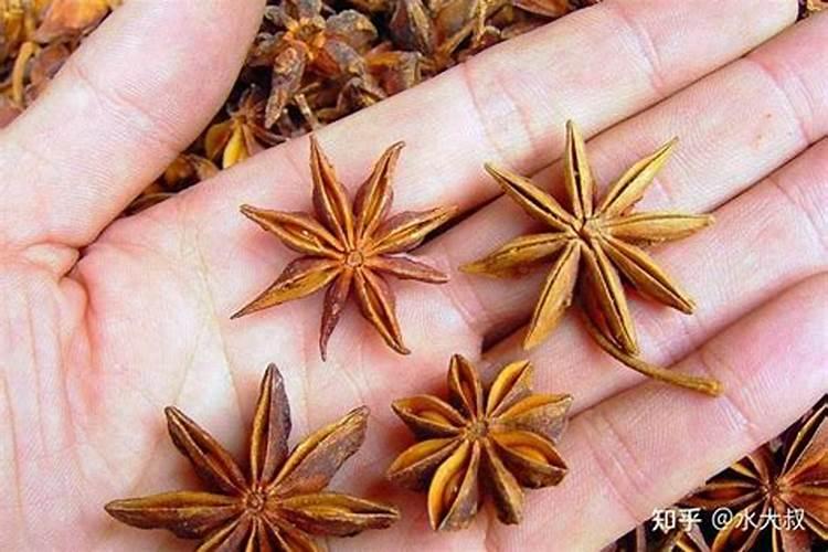 八角树施什么肥料才不、落花,结果又多呢,谢射。