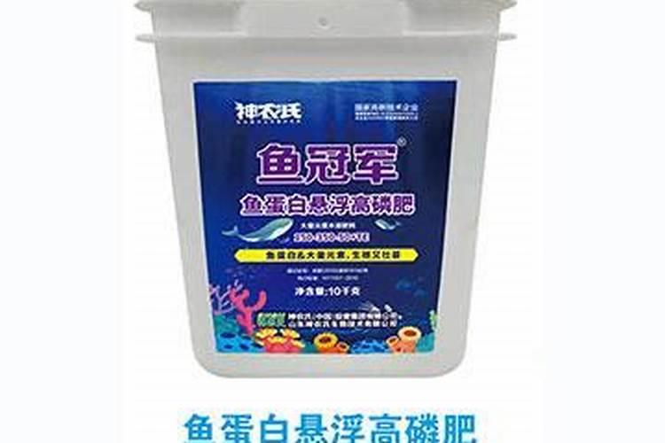 大磷肥鱼怎么烧啊