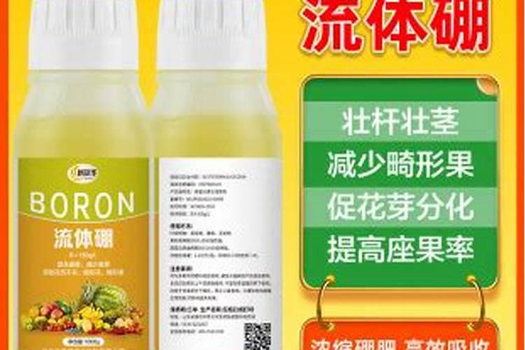 小麦拔节期后喷什么叶面肥？硼肥加上它喷2次,增产很明显