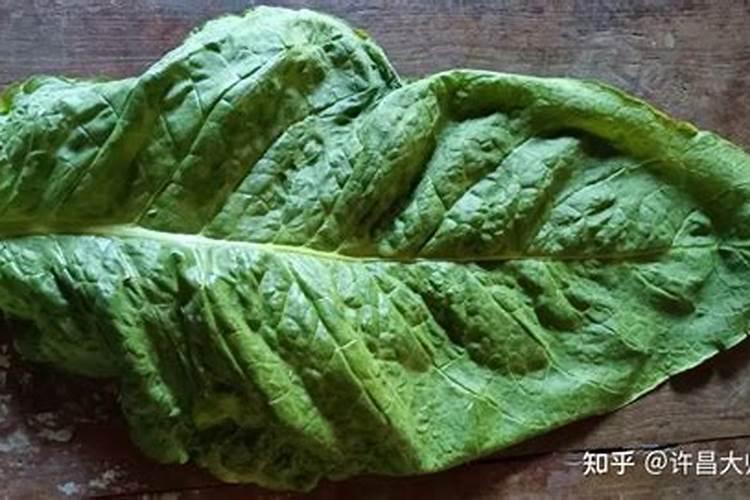 烟叶施肥方法和注意事项 烟叶施肥方法和注意事项是什么