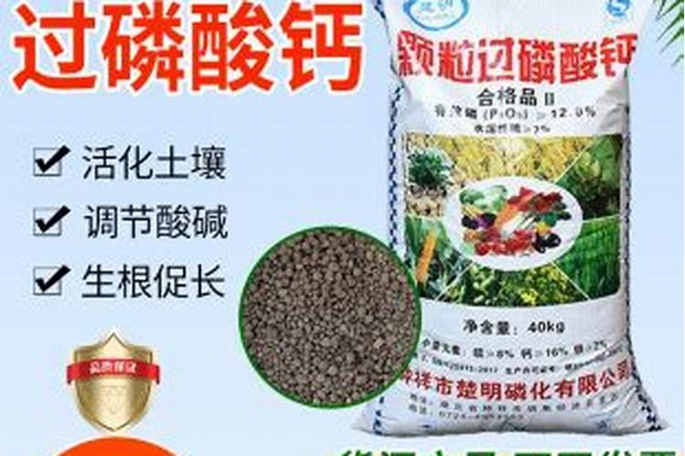 磷钾肥选什么肥料好