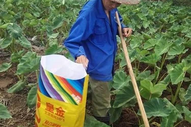 复合肥怎么往花上施肥？