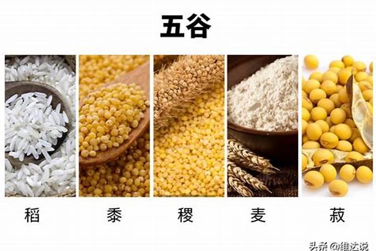 郑麦1988品种简介