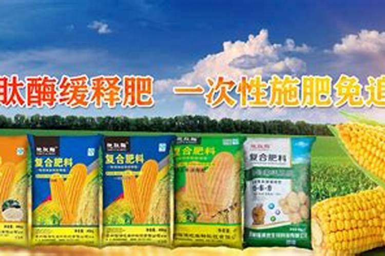 甘蔗8月份管理措施有哪些