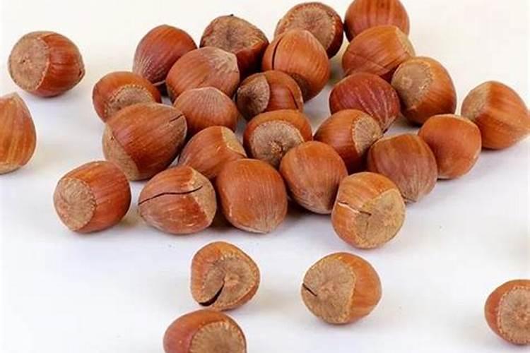 平欧大榛子树尖卷叶是什么病,打什么药