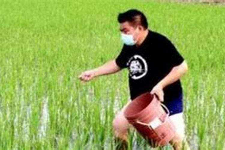 过磷酸钙一亩用多少斤