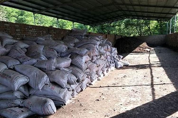 山东省鲁西化工股份有限公司第五化肥公司