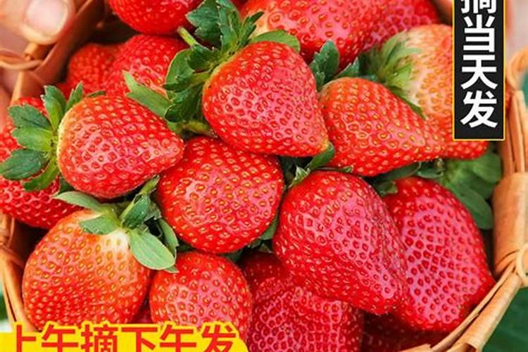 草莓适合用什么肥料？