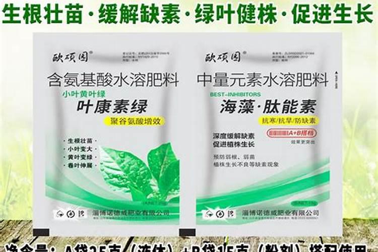 最贵的玉米叶面肥1000克的多少钱一瓶