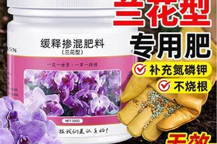 兰花氮磷钾比例