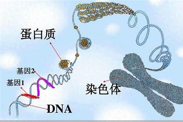 冷水鱼适合的水温多少合适