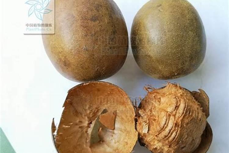 罗汉果结果了施什么肥料