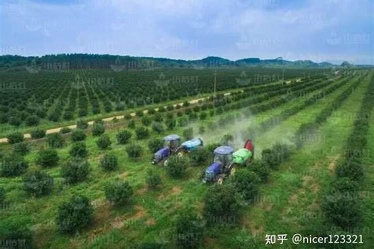 烯磷酸钾是什么