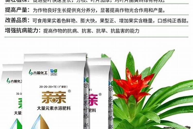 芋头能喷施硼肥吗？