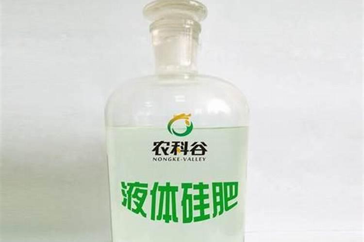 硅肥营养液怎么用