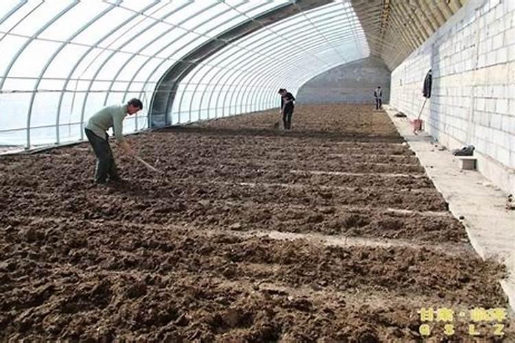 大棚中增加二氧化碳的方法