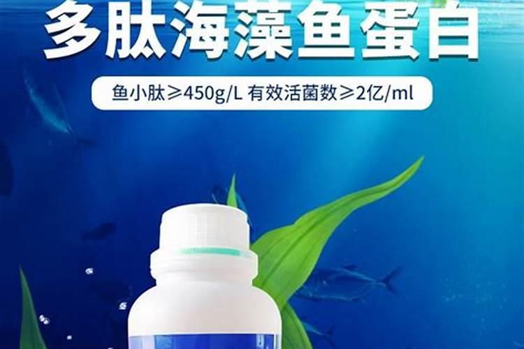 鱼塘怎么用磷肥