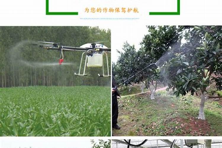 水溶肥一般几天见效