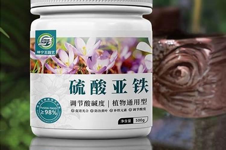 睡莲施肥需要注意什么？