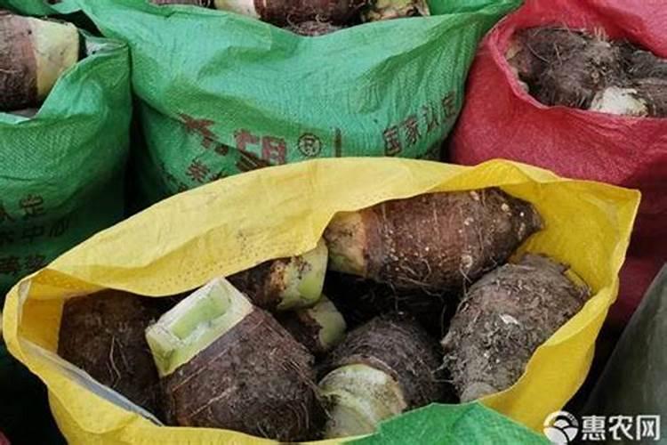 家庭种植蔬菜用什么做肥料