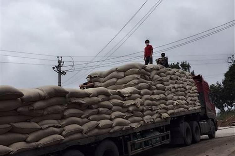 贵州化肥批发价格行情