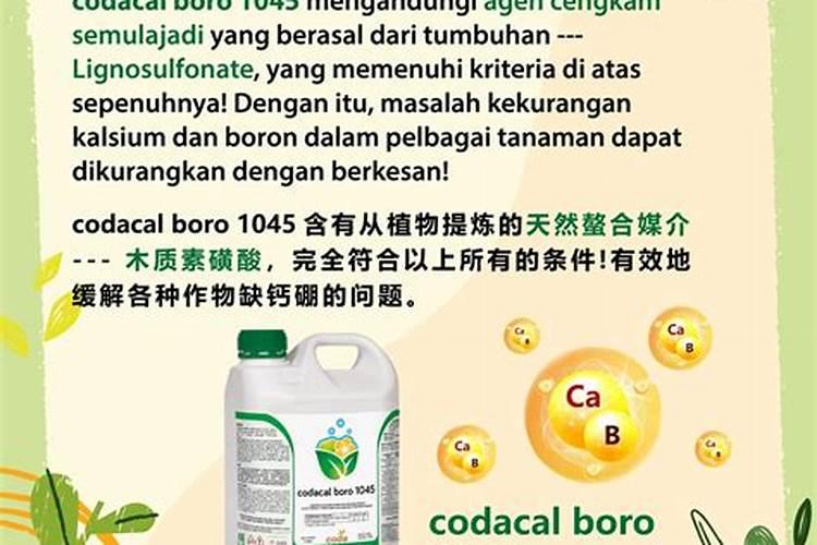 如何判断流体棚真假视频