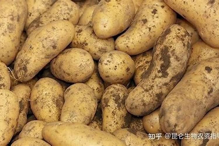 马铃薯膨大用什么肥料好？马铃薯根茎块用什么肥料个头大？