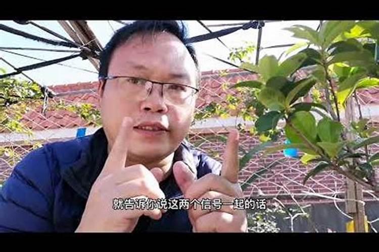 百香果出现百皮果要用哪类药进行防治？