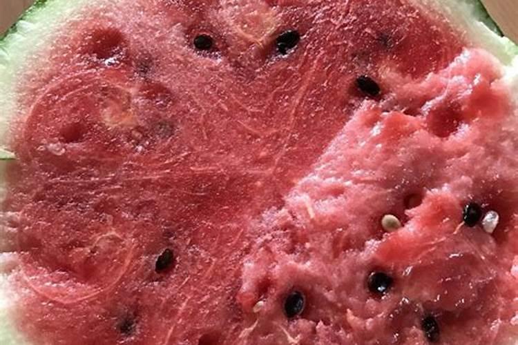 西瓜怎么种植方法