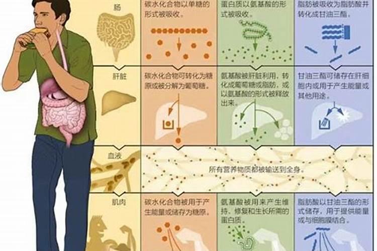 草莓膨果期用什么肥料好？