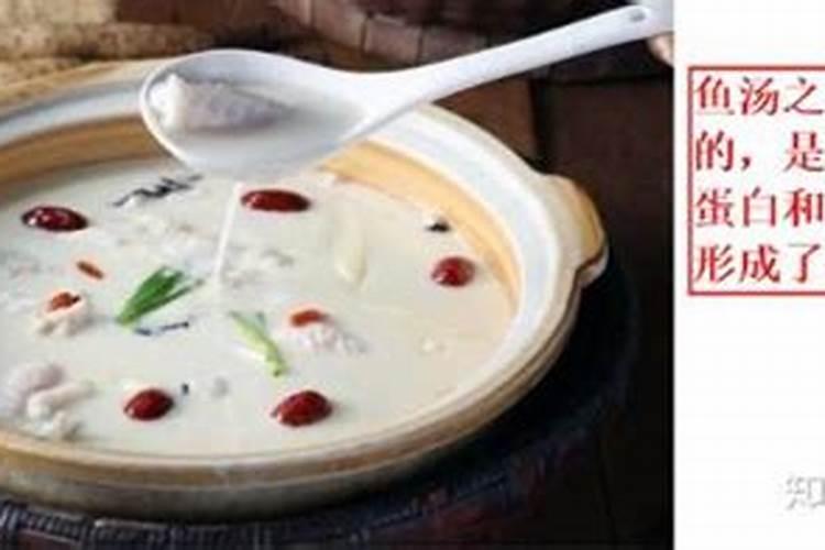 刚移栽的小番茄苗能浇鱼蛋白吗