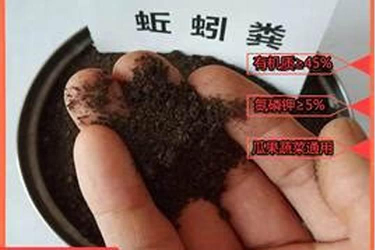 什么花不能用蚯蚓粪