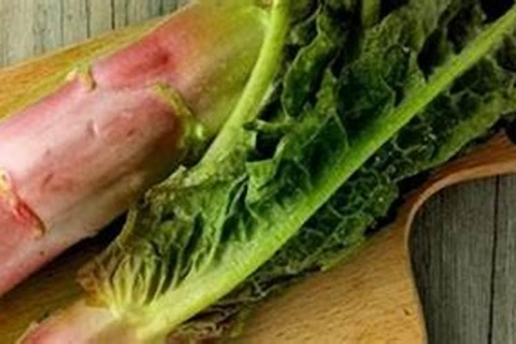 呙笋用什么作叶面肥最好效果最快