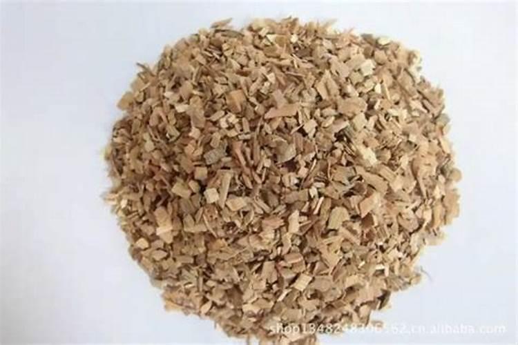 罗汉松扦插发芽是成活了吗？