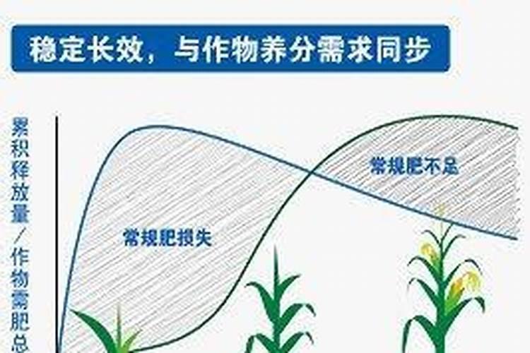 玉米专用肥,化肥哪个好