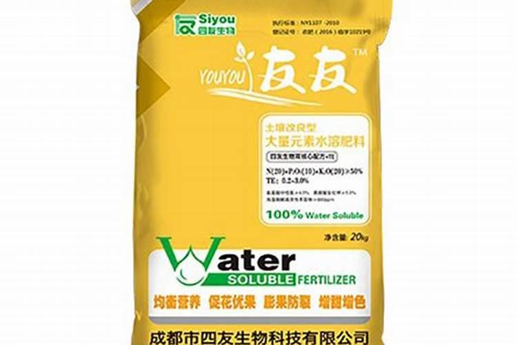 罗汉松移栽多久算成活