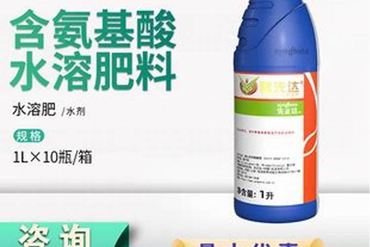 柑橘应该如何施用叶面肥？