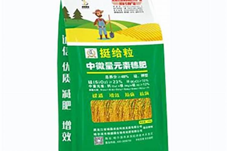 晒田后施什么肥最正确答案