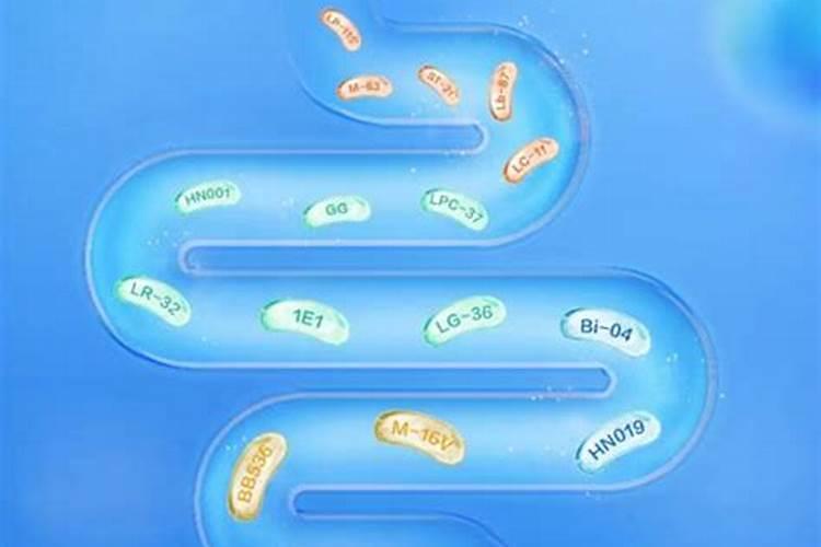 益生菌活性好的都有哪些？