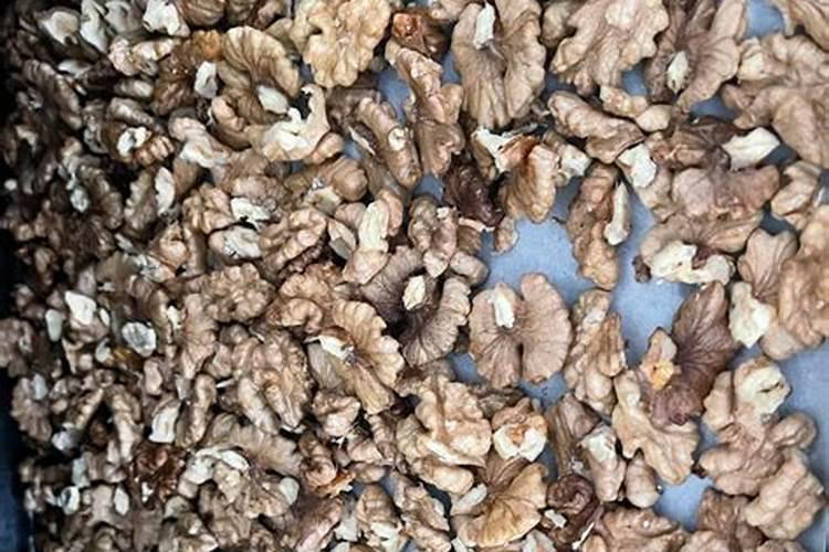 坏核桃仁可以当肥料养花吗